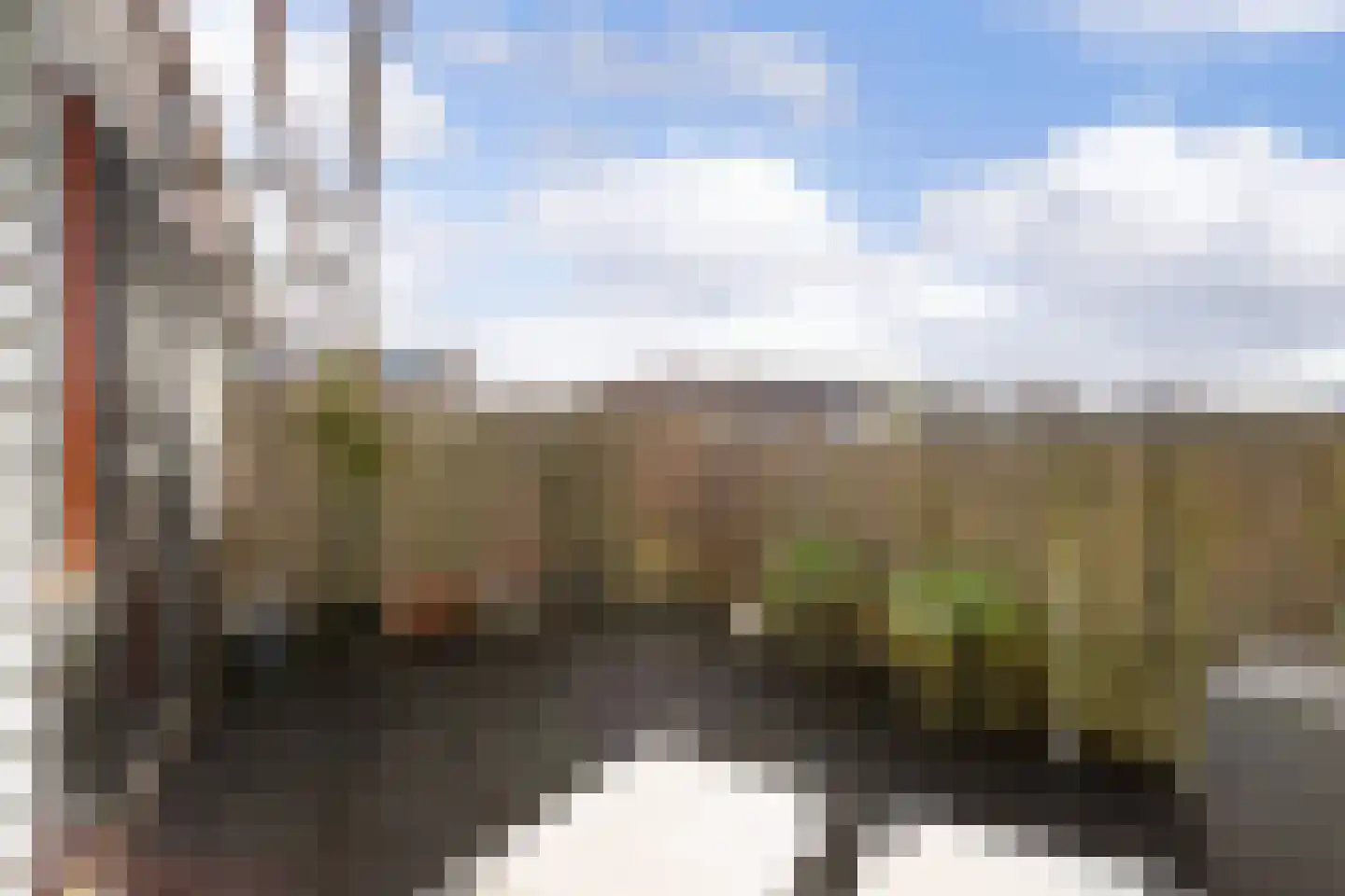 Huis te Vlietlaan 12 Utrecht thumbnail 40