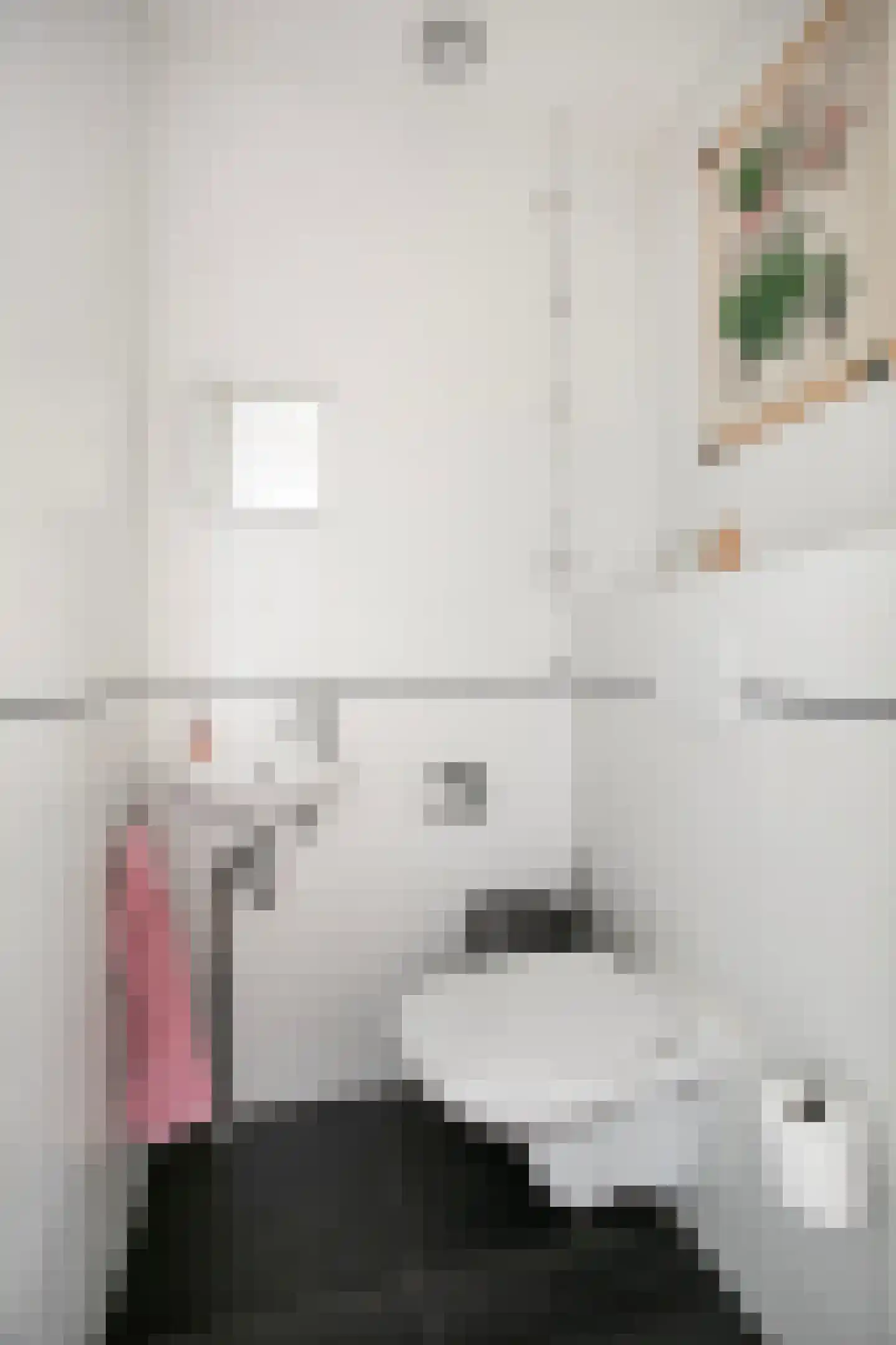 Huis te Vlietlaan 12 Utrecht thumbnail 9