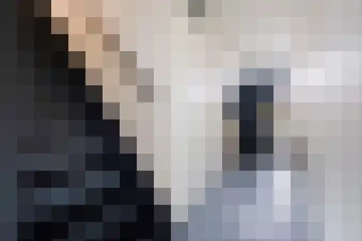 Huis te Vlietlaan 14 Utrecht thumbnail 10