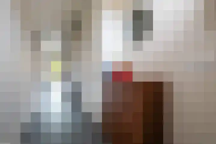 Huis te Vlietlaan 14 Utrecht thumbnail 12