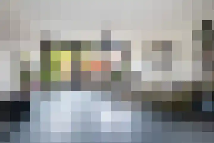 Huis te Vlietlaan 14 Utrecht thumbnail 14