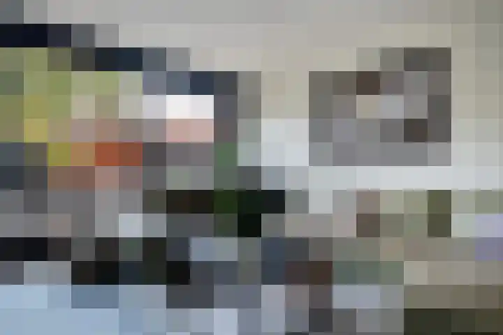 Huis te Vlietlaan 14 Utrecht thumbnail 16