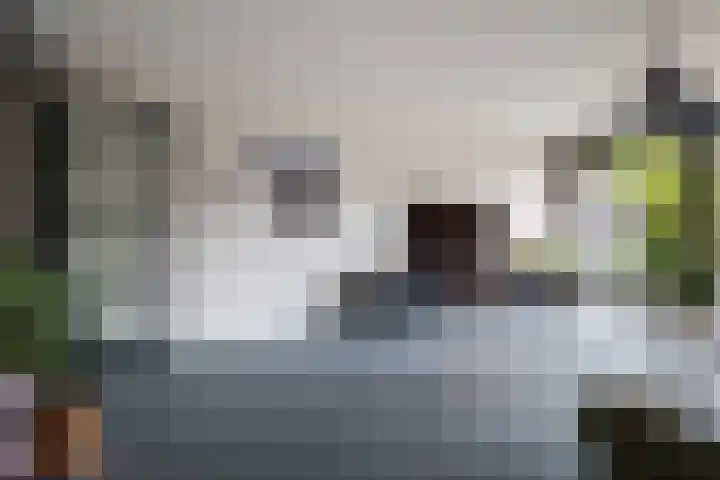 Huis te Vlietlaan 14 Utrecht thumbnail 18