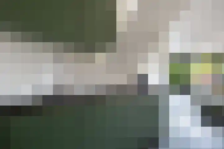 Huis te Vlietlaan 14 Utrecht thumbnail 23