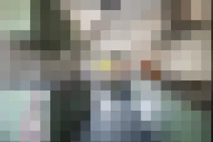 Huis te Vlietlaan 14 Utrecht thumbnail 26