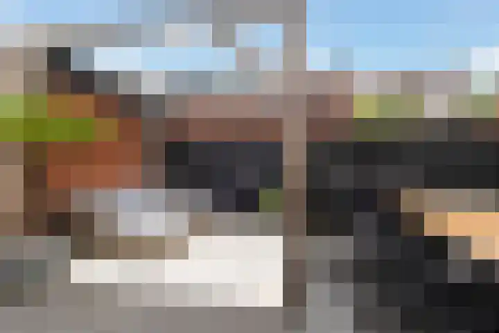 Huis te Vlietlaan 14 Utrecht thumbnail 29