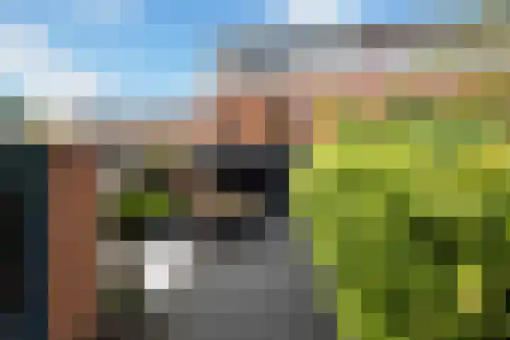 Huis te Vlietlaan 14 Utrecht thumbnail 31