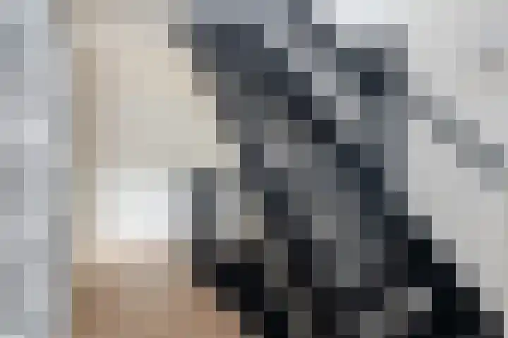 Huis te Vlietlaan 14 Utrecht thumbnail 32