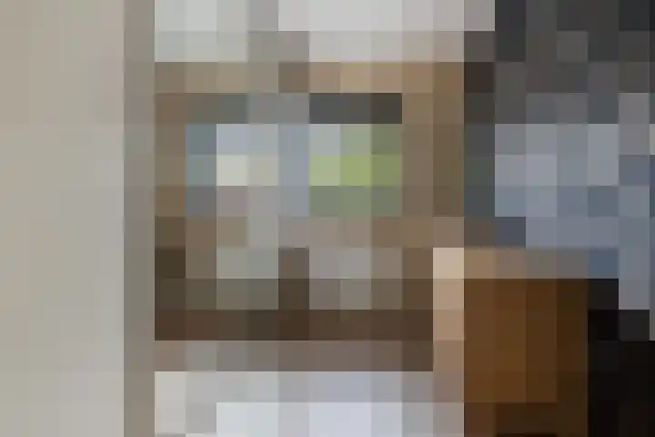 Huis te Vlietlaan 14 Utrecht thumbnail 33