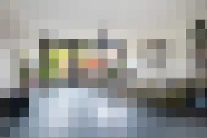 Huis te Vlietlaan 14 Utrecht thumbnail 4