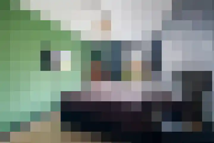 Huis te Vlietlaan 14 Utrecht thumbnail 41