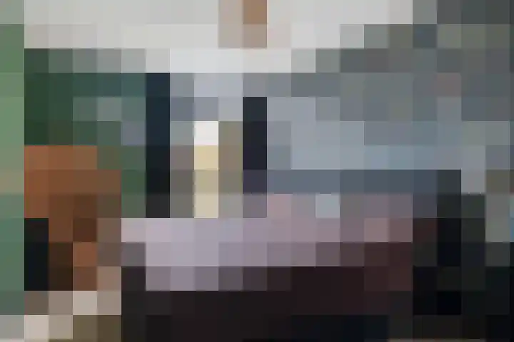 Huis te Vlietlaan 14 Utrecht thumbnail 42