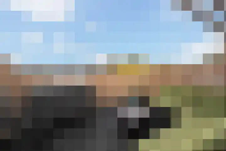 Huis te Vlietlaan 14 Utrecht thumbnail 49