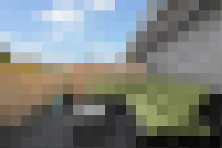 Huis te Vlietlaan 14 Utrecht thumbnail 50