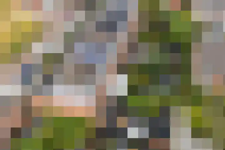 Huis te Vlietlaan 14 Utrecht thumbnail 52