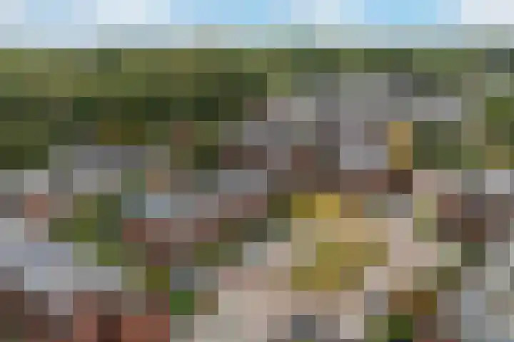 Huis te Vlietlaan 14 Utrecht thumbnail 53