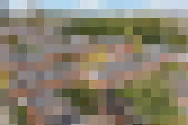 Huis te Vlietlaan 14 Utrecht thumbnail 54