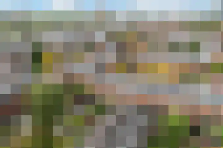 Huis te Vlietlaan 14 Utrecht thumbnail 55