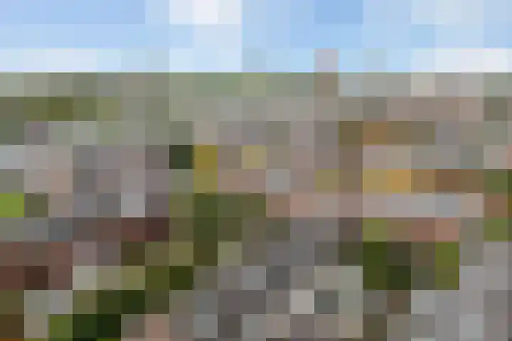 Huis te Vlietlaan 14 Utrecht thumbnail 56