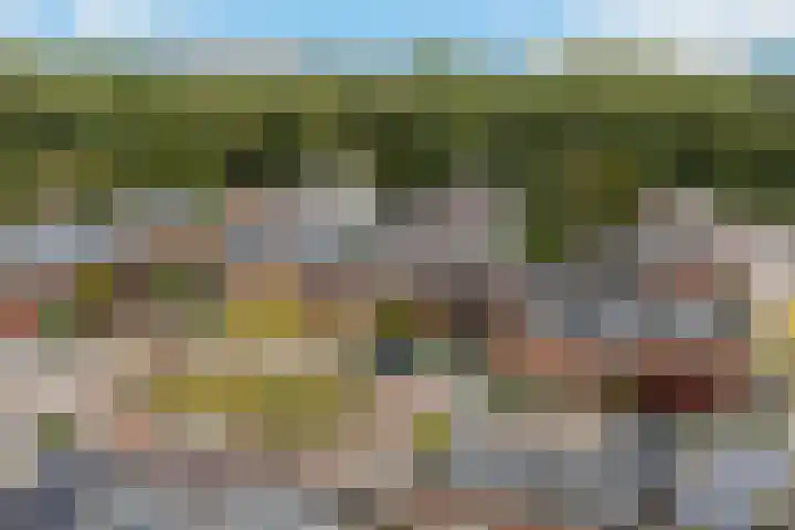 Huis te Vlietlaan 14 Utrecht thumbnail 57