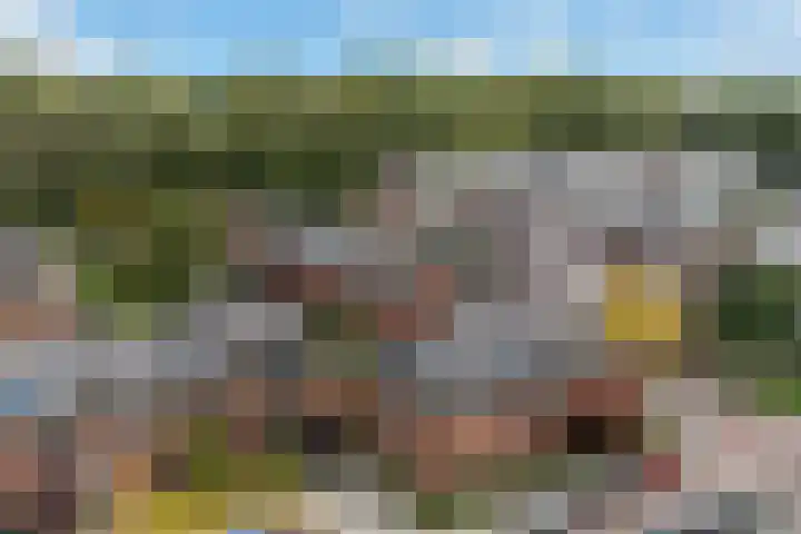 Huis te Vlietlaan 14 Utrecht thumbnail 58