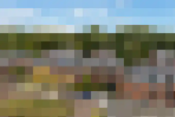 Huis te Vlietlaan 14 Utrecht thumbnail 6