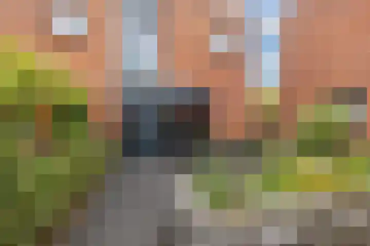 Huis te Vlietlaan 14 Utrecht thumbnail 7