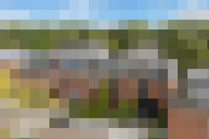 Huis te Vlietlaan 14 Utrecht thumbnail 8
