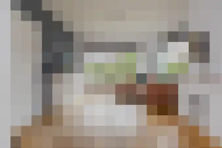Huis te Wissenlaan 25 Santpoort-Noord thumbnail 10