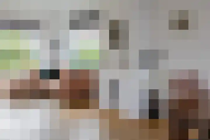 Huis te Wissenlaan 25 Santpoort-Noord thumbnail 11