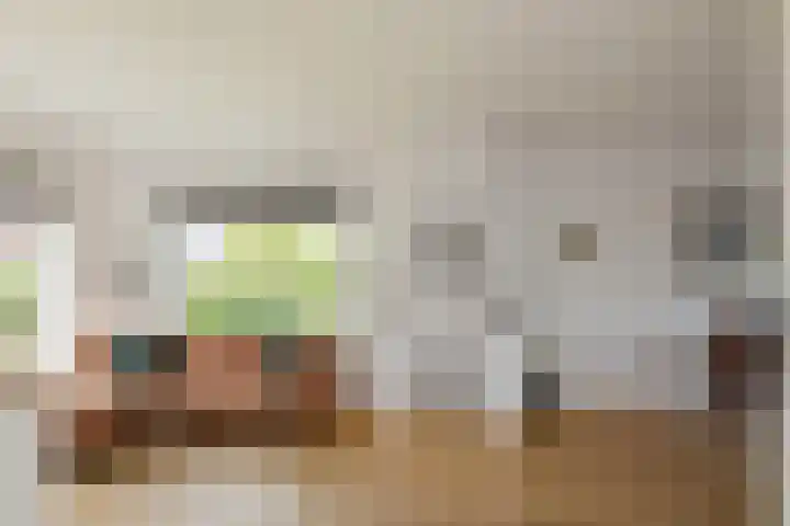 Huis te Wissenlaan 25 Santpoort-Noord thumbnail 12