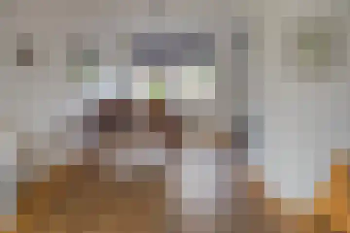 Huis te Wissenlaan 25 Santpoort-Noord thumbnail 14
