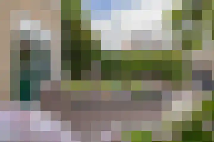 Huis te Wissenlaan 25 Santpoort-Noord thumbnail 20