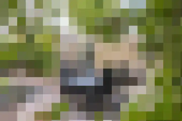 Huis te Wissenlaan 25 Santpoort-Noord thumbnail 22