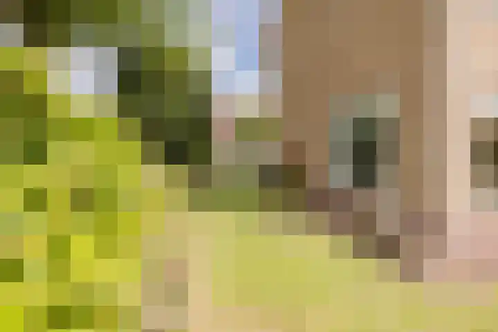 Huis te Wissenlaan 25 Santpoort-Noord thumbnail 26