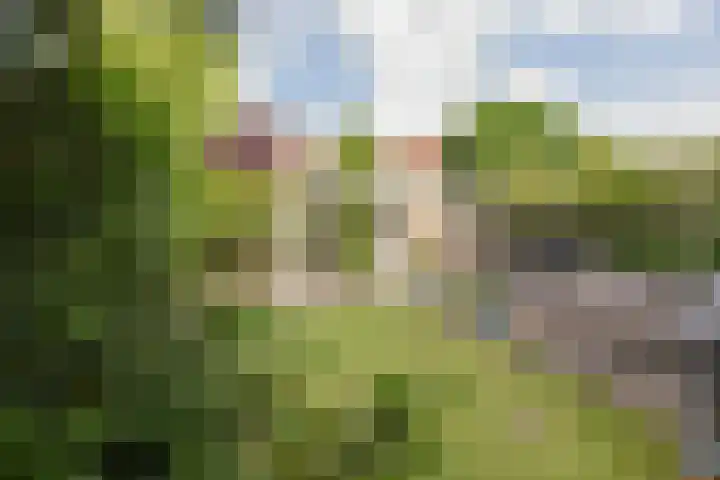 Huis te Wissenlaan 25 Santpoort-Noord thumbnail 5