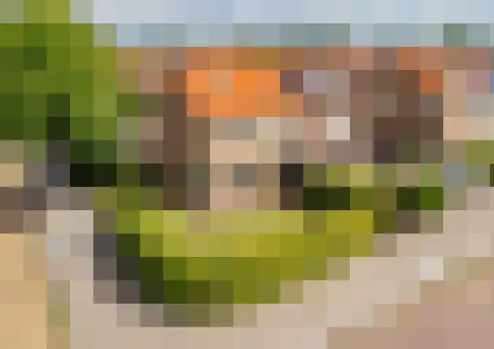 Huis te Wissenlaan 25 Santpoort-Noord thumbnail 52