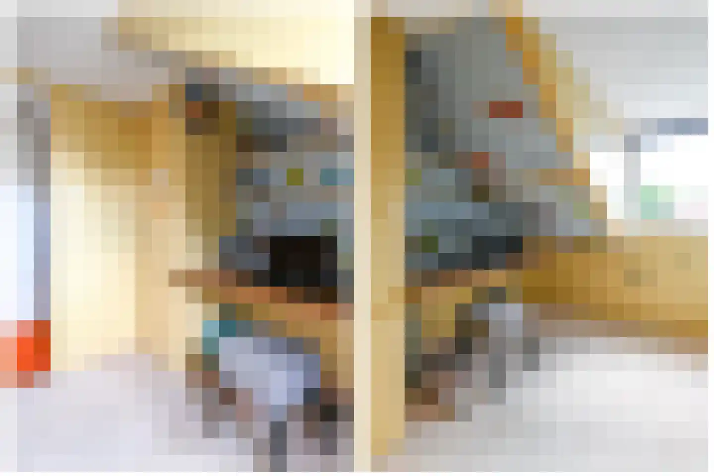 Huis te Wissenlaan 34 Santpoort-Noord thumbnail 26