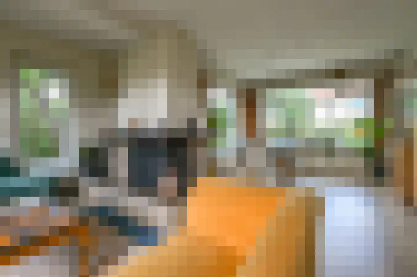 Huis te Wissenlaan 34 Santpoort-Noord thumbnail 9