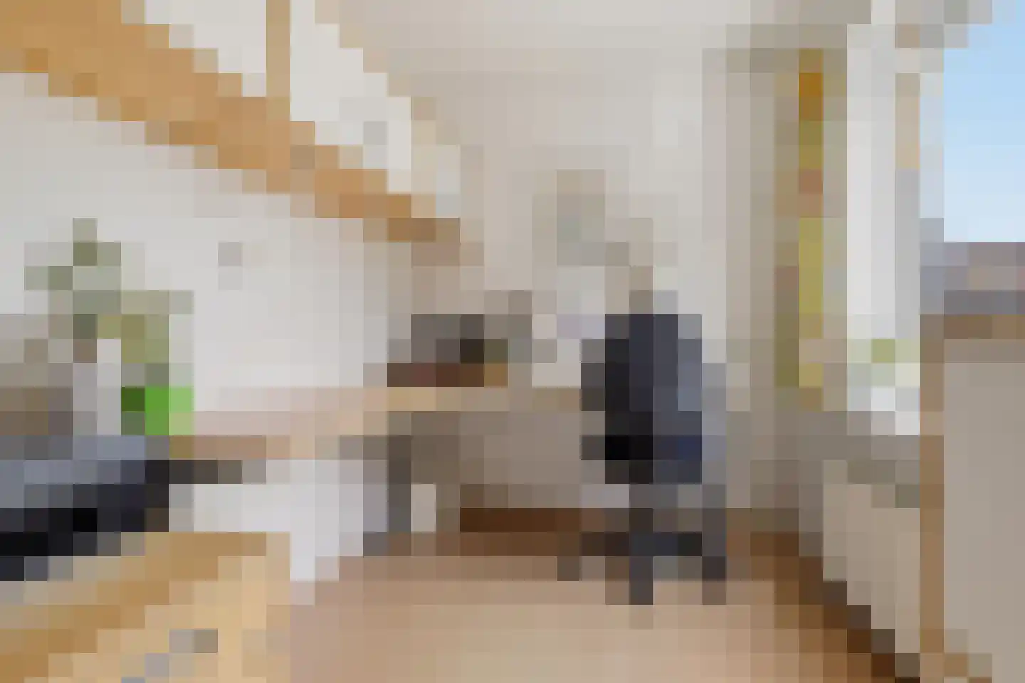 Huis te Wissenlaan 45 Santpoort-Noord thumbnail 22