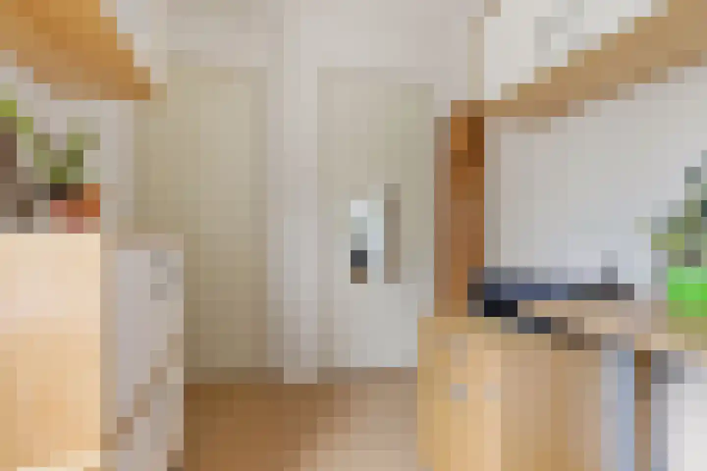 Huis te Wissenlaan 45 Santpoort-Noord thumbnail 23