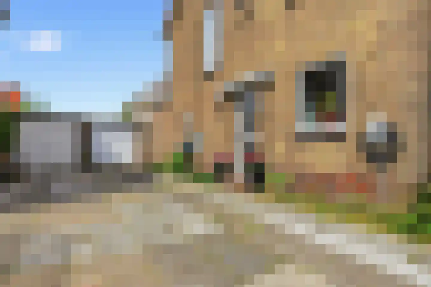 Huis te Wissenlaan 45 Santpoort-Noord thumbnail 34