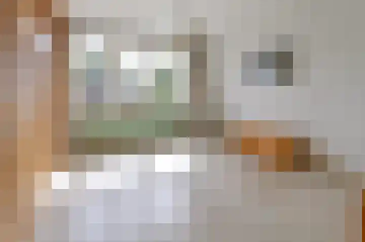Huis te Wissenlaan 52 Santpoort-Noord thumbnail 16