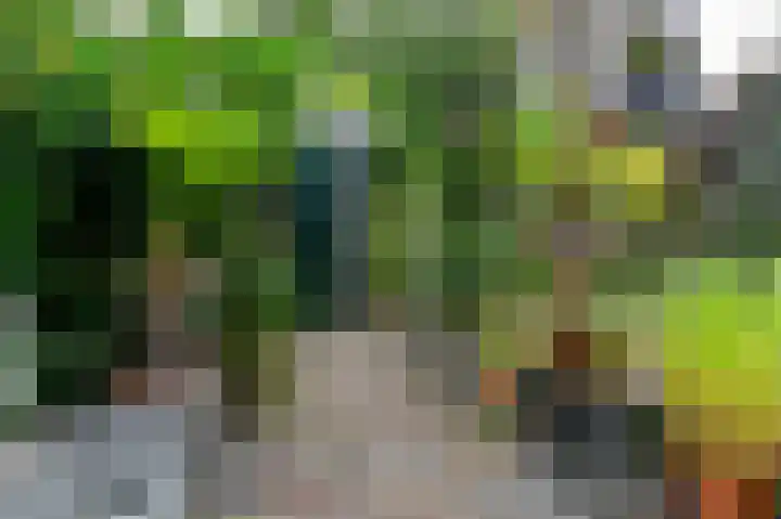 Huis te Wissenlaan 52 Santpoort-Noord thumbnail 31