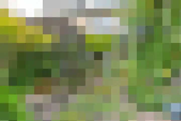 Huis te Wissenlaan 52 Santpoort-Noord thumbnail 34