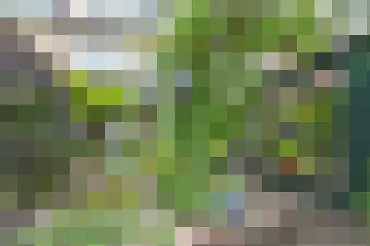 Huis te Wissenlaan 52 Santpoort-Noord thumbnail 35