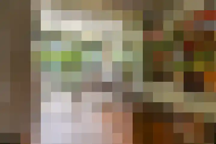 Huis te Wissenlaan 52 Santpoort-Noord thumbnail 5