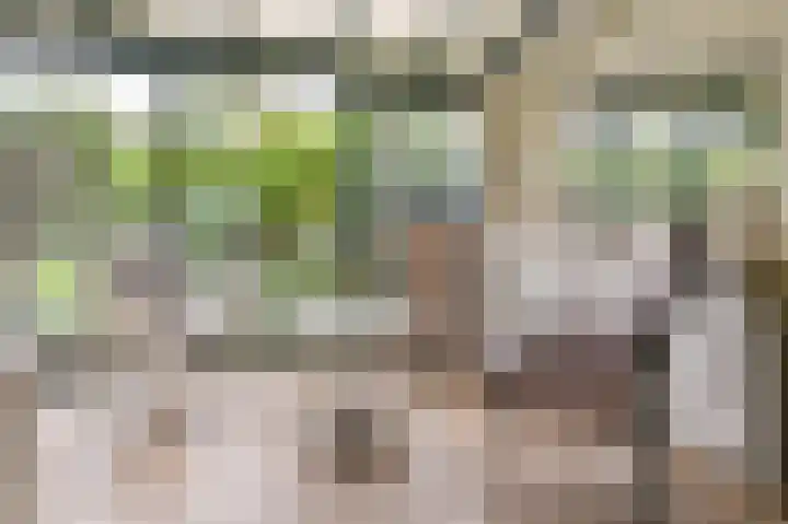 Huis te Wissenlaan 52 Santpoort-Noord thumbnail 7
