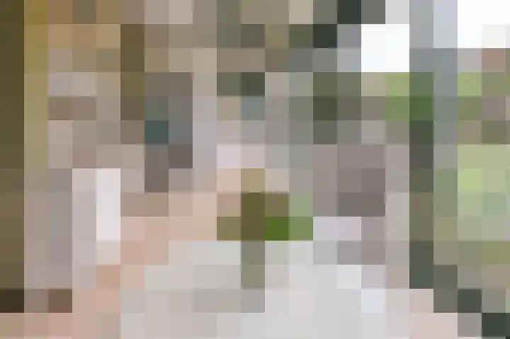 Huis te Wissenlaan 52 Santpoort-Noord thumbnail 9