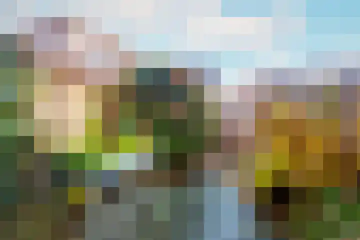 Huis te Zuylenlaan 115 Utrecht thumbnail 10